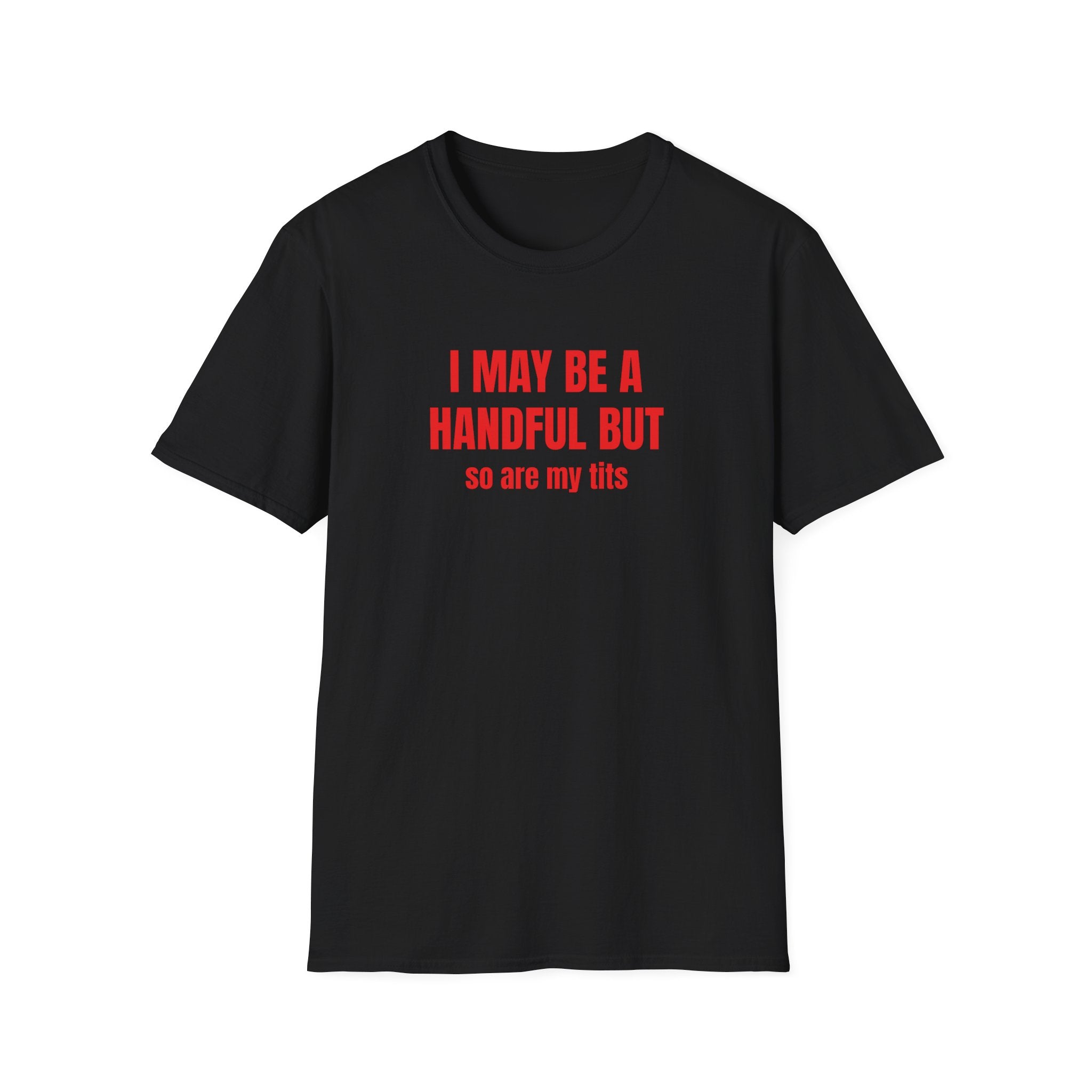 I MAY BE A HANDFUL BUT SO ARE MY TITS T-SHIRT